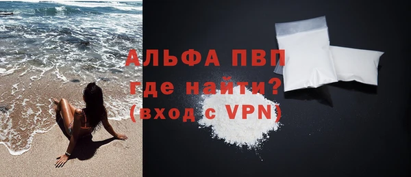 дурь Няндома