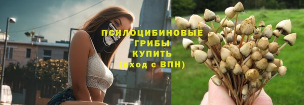 амф Нязепетровск