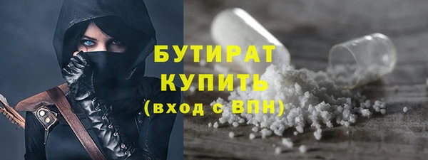 дурь Няндома
