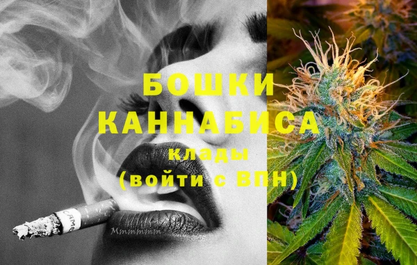 дурь Няндома