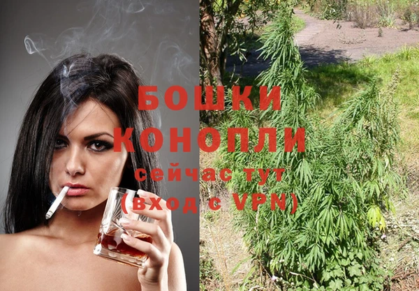 дурь Няндома