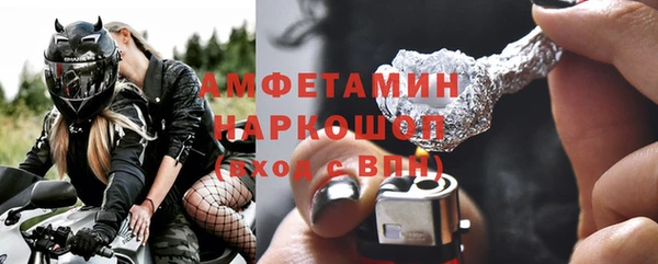дурь Няндома
