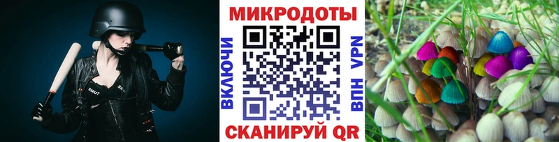 Псилоцибиновые грибы Psilocybine cubensis  Урень 