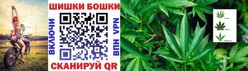 Бошки марихуана семена  как найти наркотики  Урень 